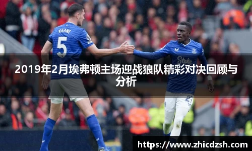 2019年2月埃弗顿主场迎战狼队精彩对决回顾与分析